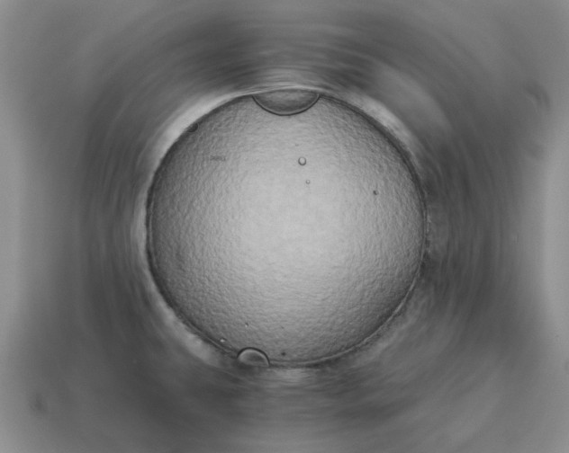 X0000114591431200911091247