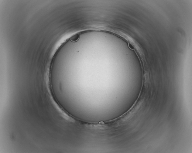 X0000114591432200911091247