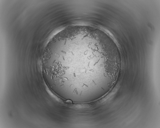 X0000114591433200911091247