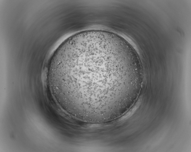 X0000114591438200911091247