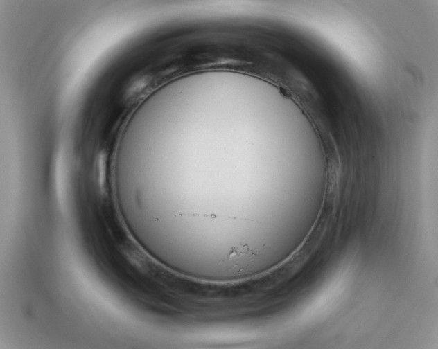 X0000114591439200911091247