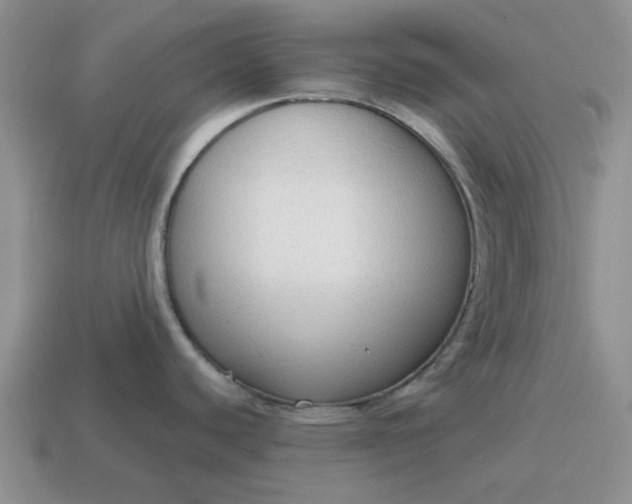 X0000114591440200911091247