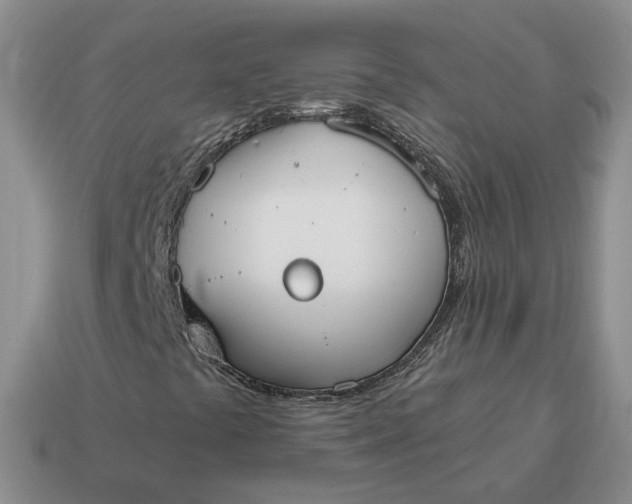 X0000114591441200911091247