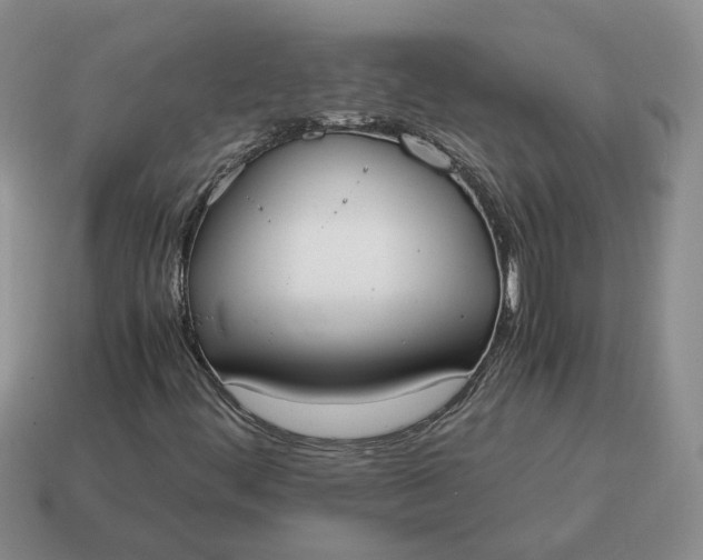 X0000114591444200911091247