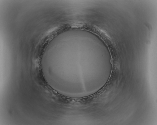 X0000114591445200911091247