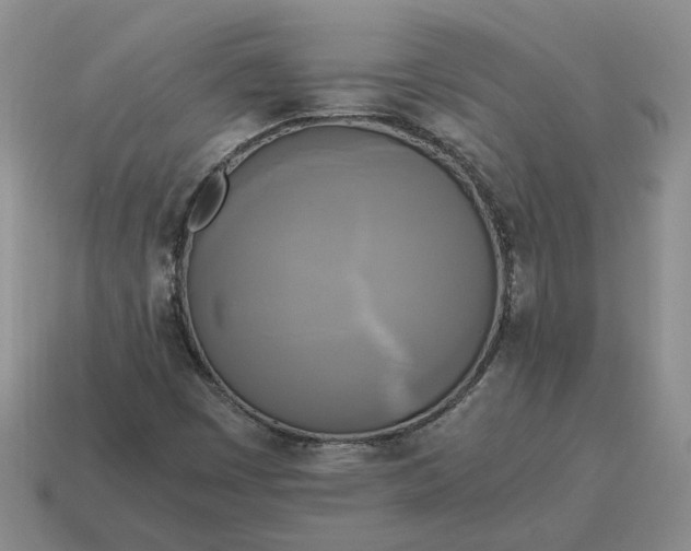 X0000114591449200911091247