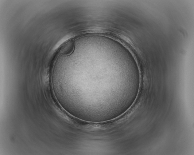 X0000114591450200911091247