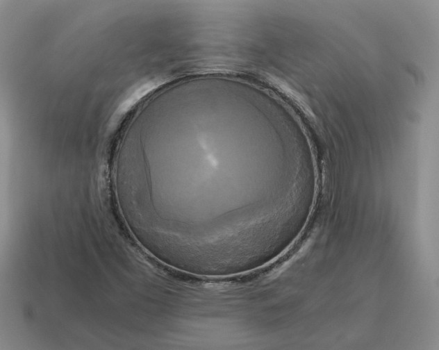 X0000114591453200911091247