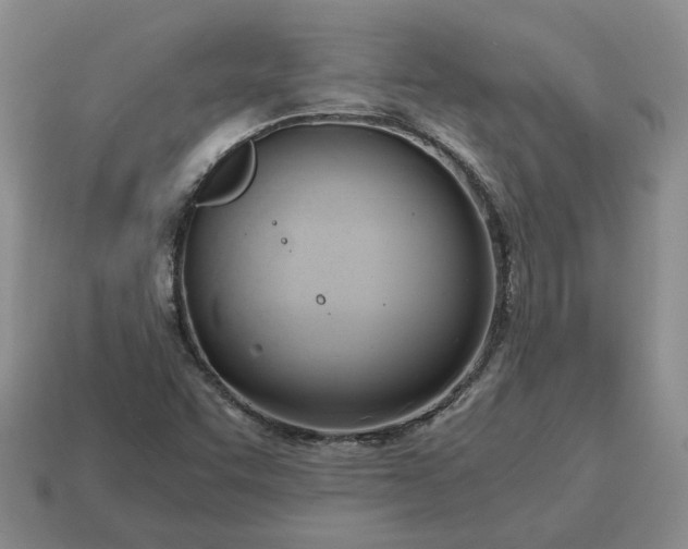 X0000114591455200911091247