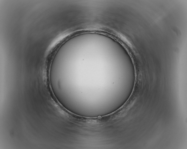 X0000114591456200911091246