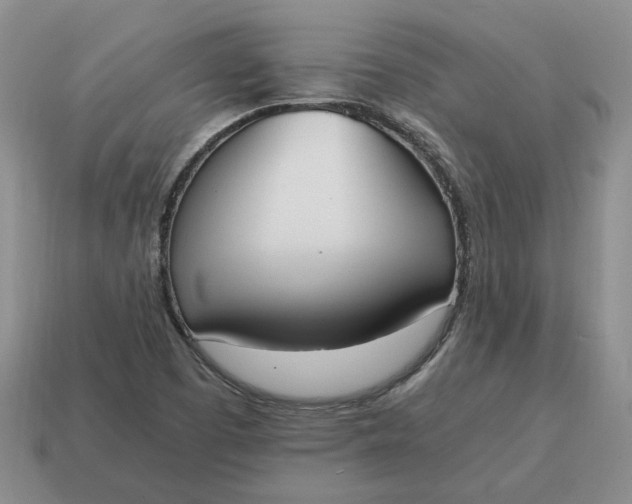 X0000114591457200911091246