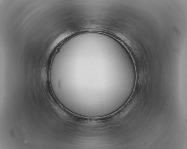 X0000114591458200911091246