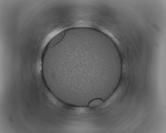 X0000114591461200911091246