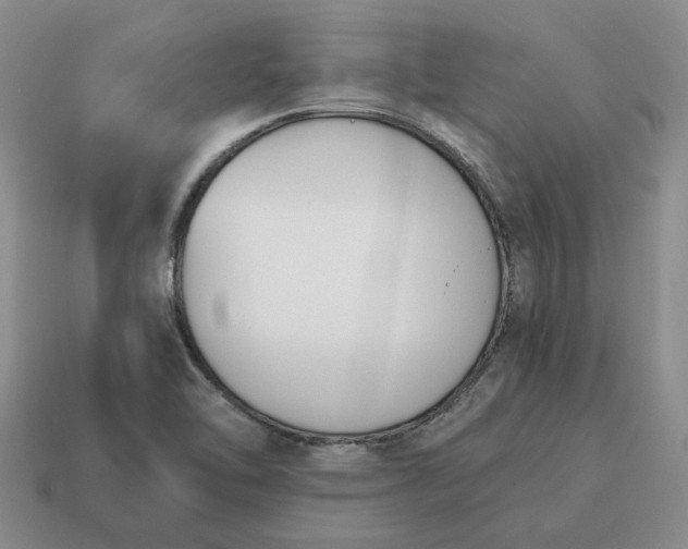 X0000114591462200911091246