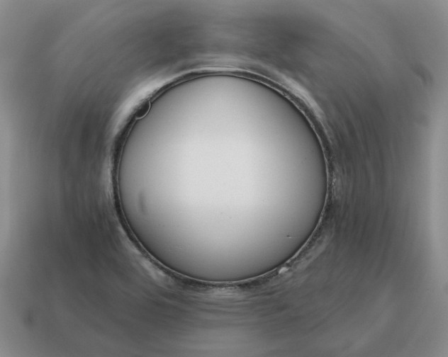 X0000114591464200911091246