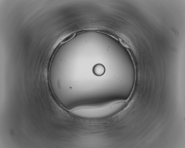 X0000114591465200911091246