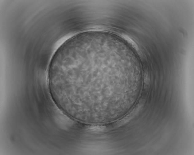 X0000114591466200911091246