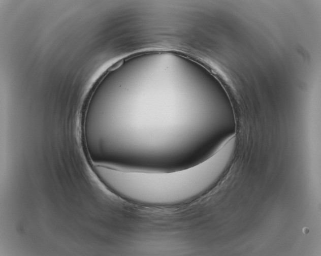 X0000114591468200911091246