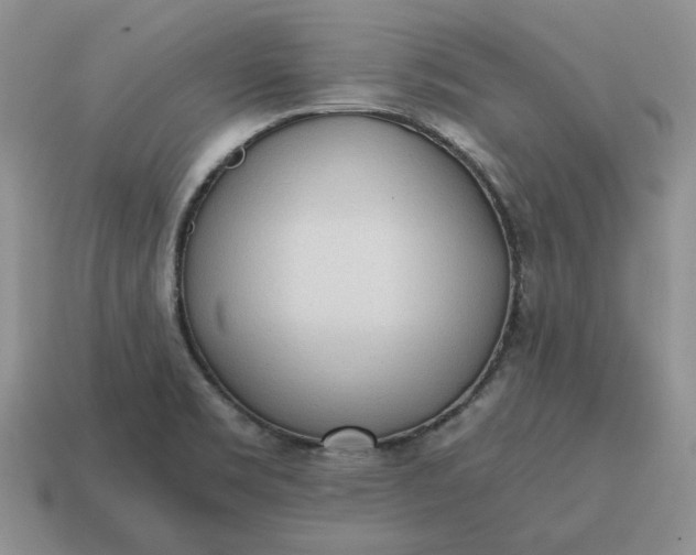 X0000114591469200911091246