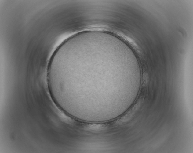 X0000114591470200911091246