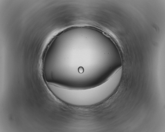 X0000114591472200911091246