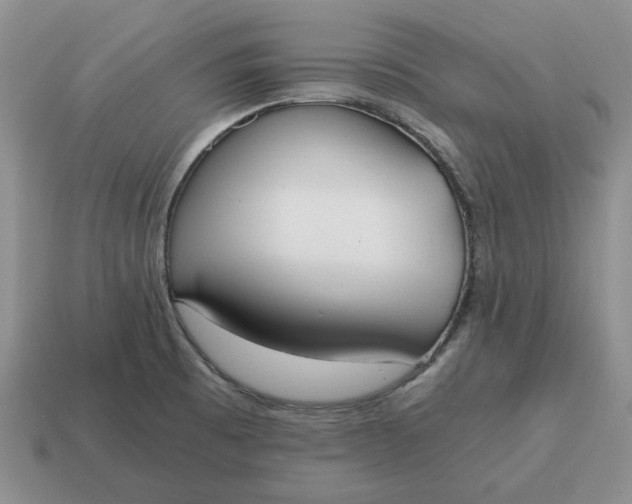 X0000114591473200911091246