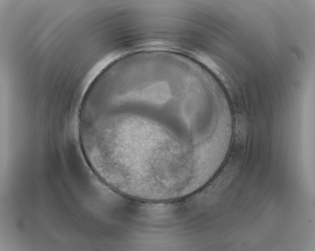 X0000114591474200911091246