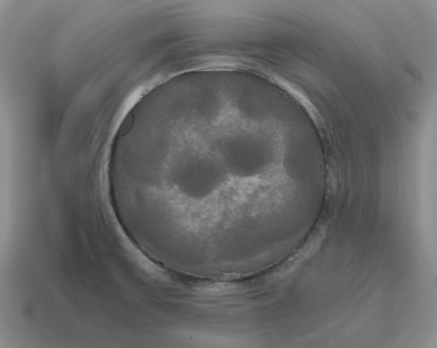 X0000114591475200911091246