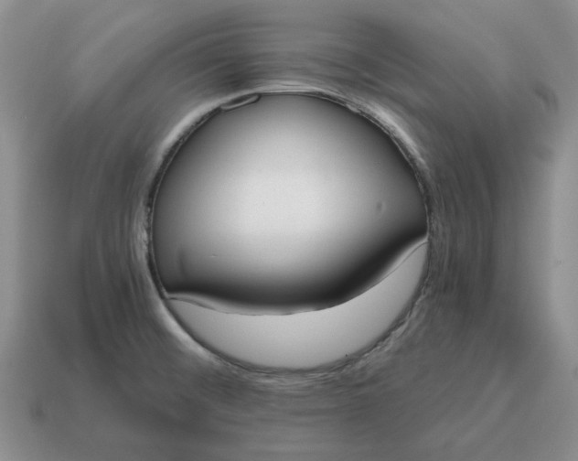 X0000114591476200911091246