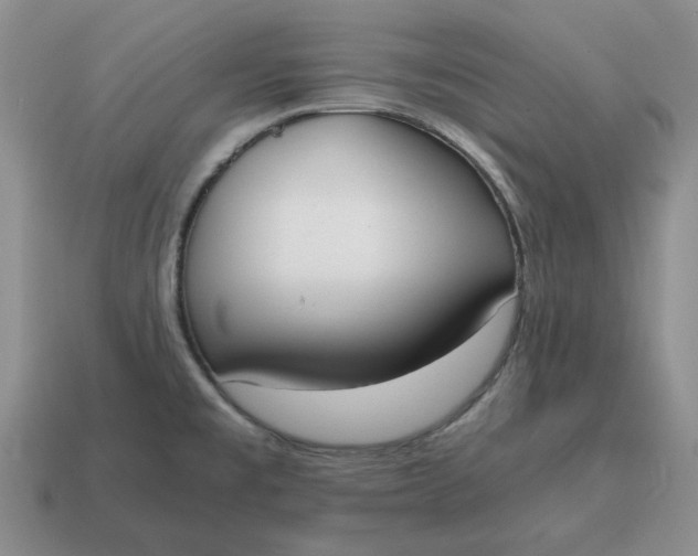 X0000114591477200911091246