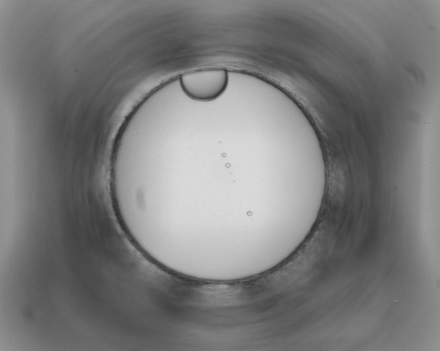 X0000114591478200911091246