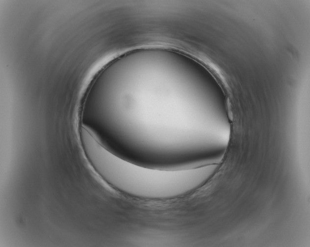 X0000114591480200911091246