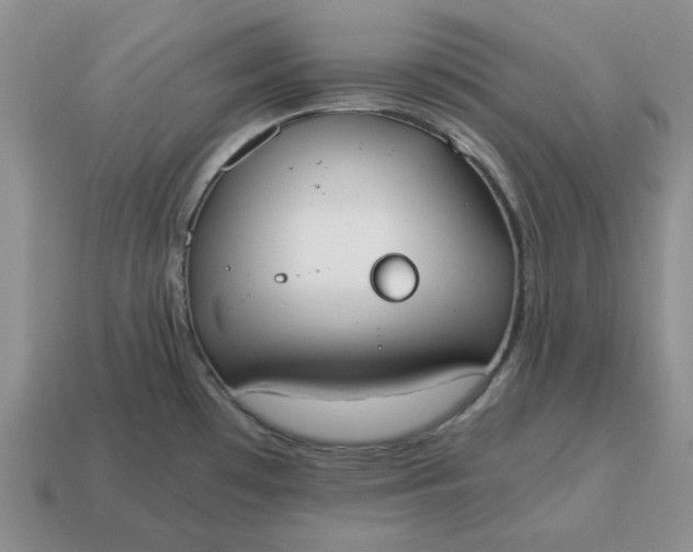 X0000114591481200911091246