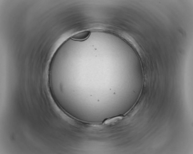 X0000114591483200911091246