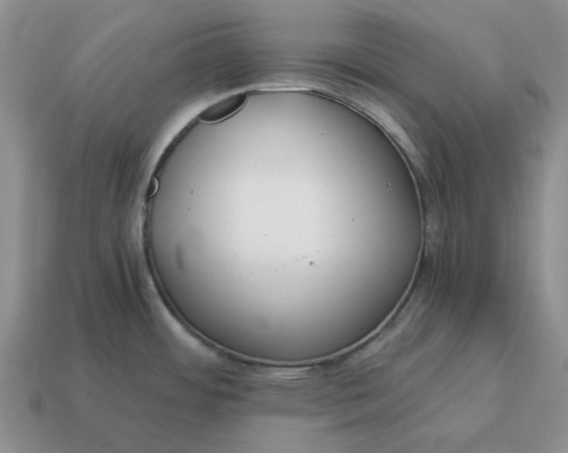 X0000114591484200911091246