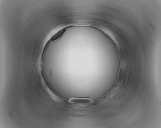 X0000114591485200911091246