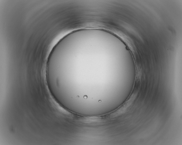 X0000114591486200911091246