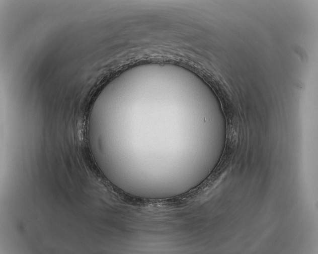 X0000114591490200911091245