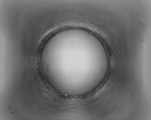 X0000114591494200911091245