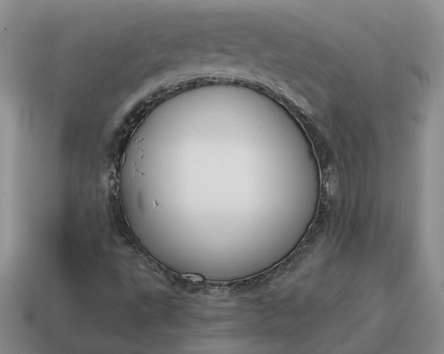 X0000114591495200911091245