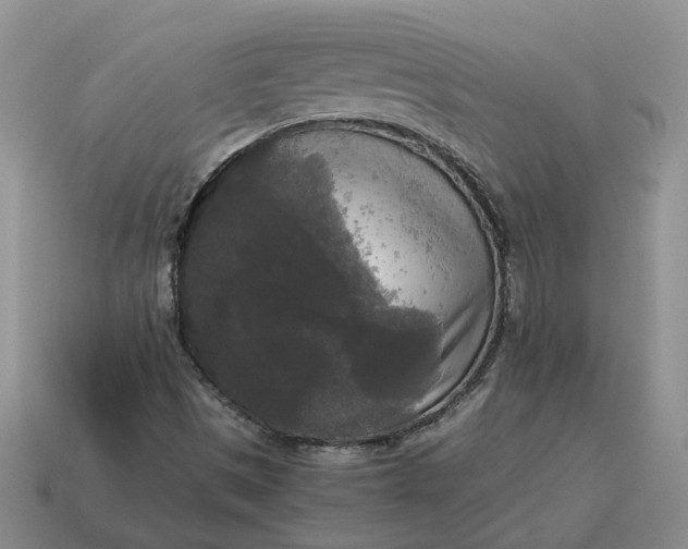 X0000114591497200911091245