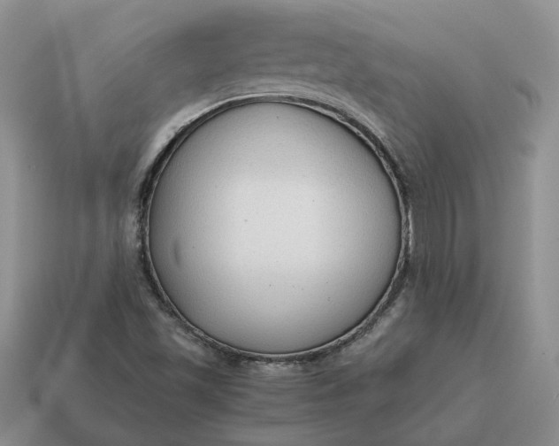 X0000114591501200911091245