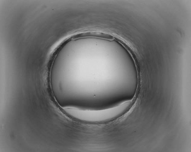 X0000114591502200911091245