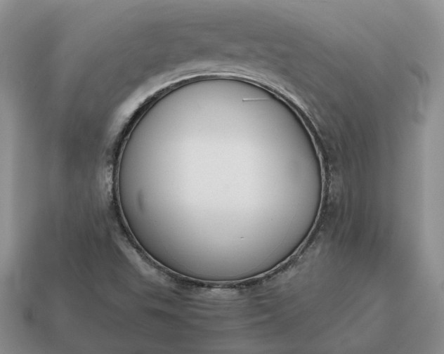 X0000114591503200911091245