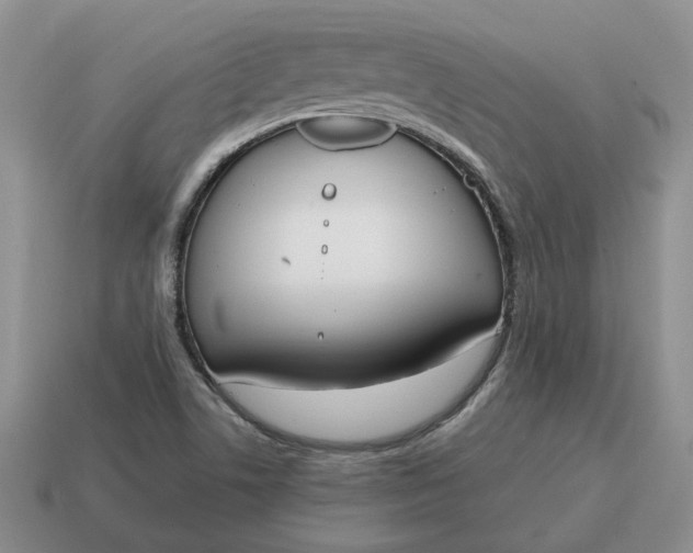 X0000114591506200911091246