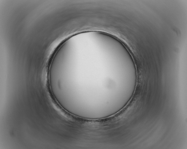 X0000114591511200911091246