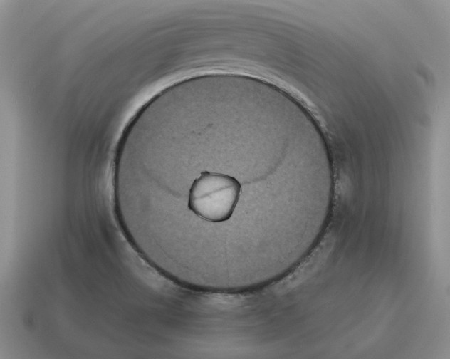 X0000114591514200911091246