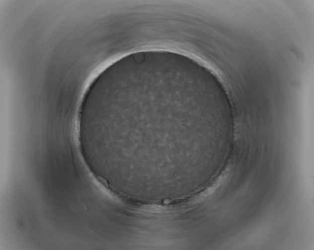 X0000114591517200911091246