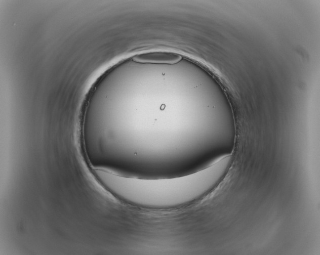 X0000114591518200911091246