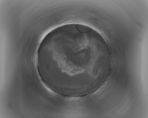 X0000114591519200911091246